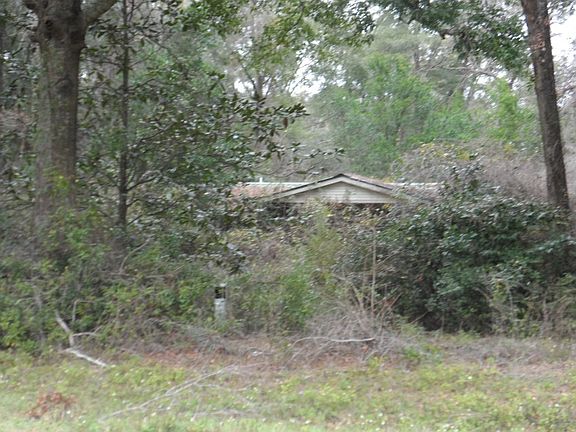 3rd image of 6253 SW County Road 240