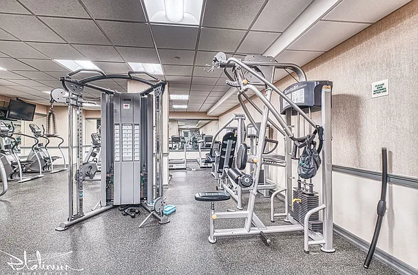 Rented by Platinum Properties | media 27