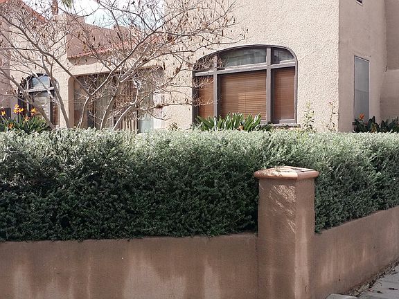 ConcreteWall/Front/Landscape