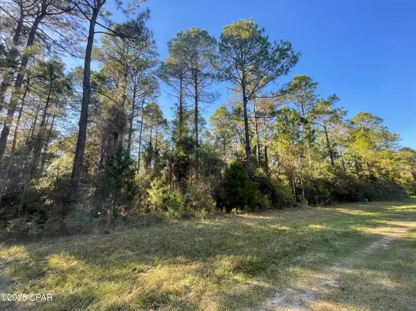 20 Hawthorne Ln, Bonifay, FL 32425