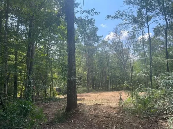 87474 Vineyard Rd, Folsom, LA 70437