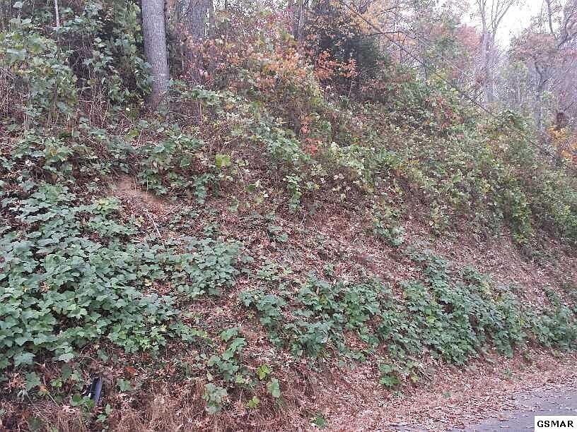 2nd image of 14 Woodland Dr Lot 14