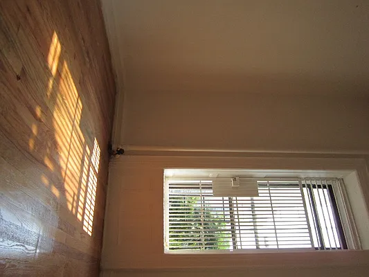 Rented by DSA Realty | media 37