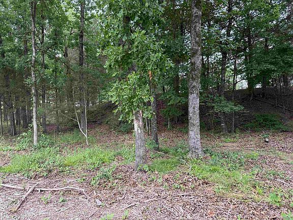 4th image of 801 Fox Den Rd