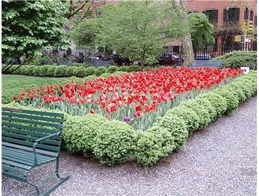 Sold by Douglas Elliman | media 16