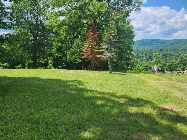 7 Snow Mountain Ln, Fancy Gap, VA 24328