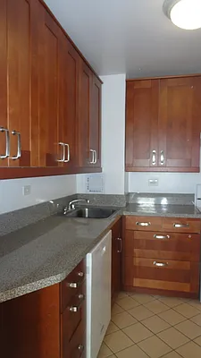 Rented by Manhattan Flats | media 18