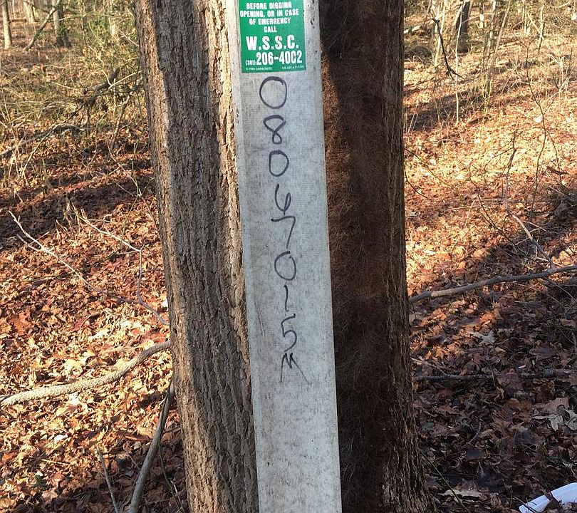 50 Rinard Ave, Beltsville, MD 20705 Zillow