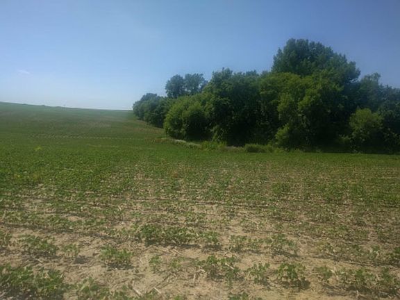 4th image of 38193 County 8 Blvd