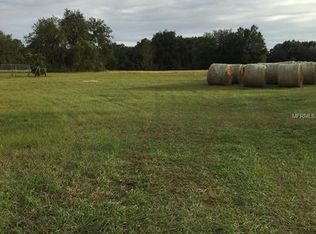 3330 Carter Jones Rd, Groveland, FL 34736