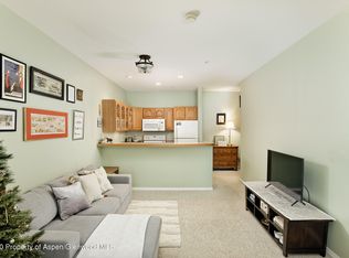 1400 E Valley Rd UNIT 112, Basalt, CO 81621