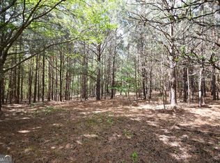 1 Mountain View Rd, Buchanan, GA 30113