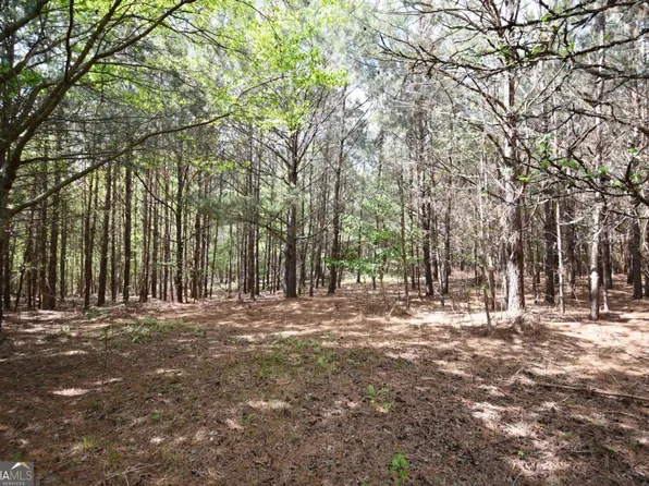 1 Mountain View Rd, Buchanan, GA 30113