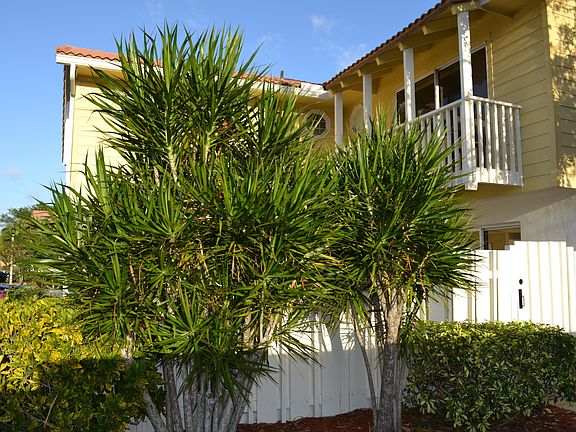 3rd image of 176 Seabreeze Cir