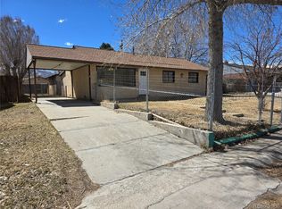 546 Park Ln, Buena Vista, CO 81211