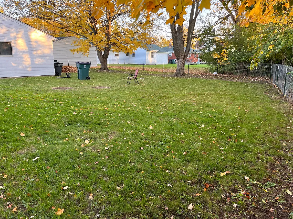 Backyard - 1148 Beech St