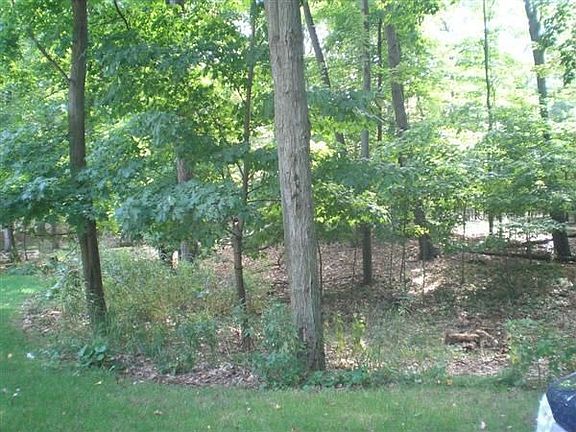 5th image of 9004 Pine Woods Ln