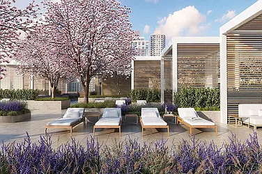 Rented by Oxford Property Group