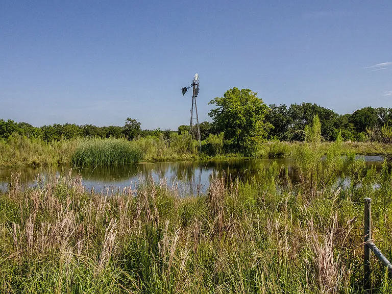 Our neighborhood is the best of both worlds - with easy access to nature as well as the city