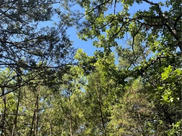 TRACT 6 SE 1083rd Ave, Red Oak, OK 74563