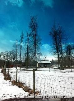 View from the back pasture