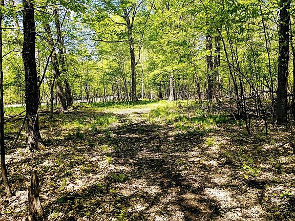 5th image of 0 Deerhead Point Road