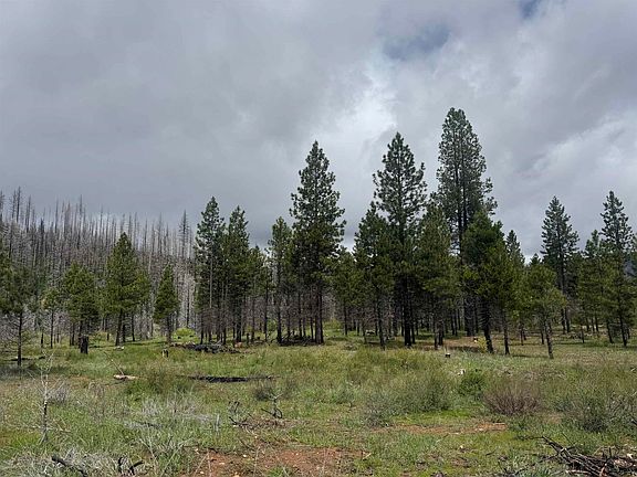 4th image of 319 Round Valley Rd