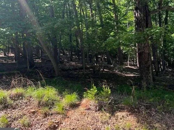 1121 Oglethorpe Mountain Rd, Jasper, GA 30143