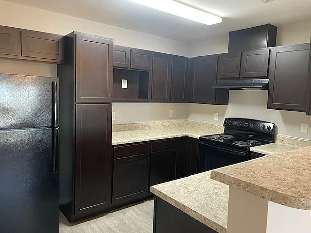 1 bed, 590 sqft, $1,215 — Photo 2
