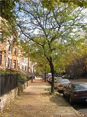 Rented by Mark David | media 27