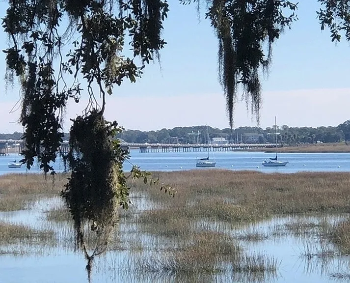 Marsh