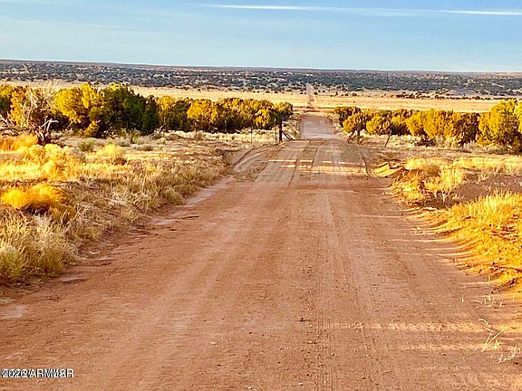 4th image of RBD Co Rd N6659 36.25 Acres -- #-