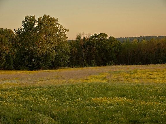 4th image of 988 Harlon Ryan Rd