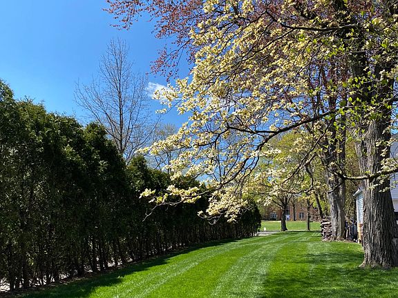 Back yard opens to the public school