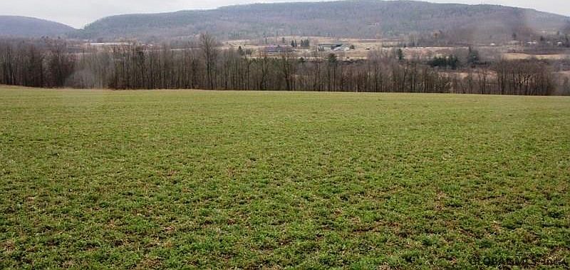 5th image of BARNERVILLE Road
