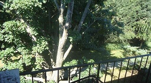2nd image of 80 Damon Rd APT 3304