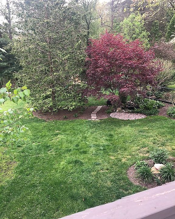 2nd image of 246 Lytton Rd