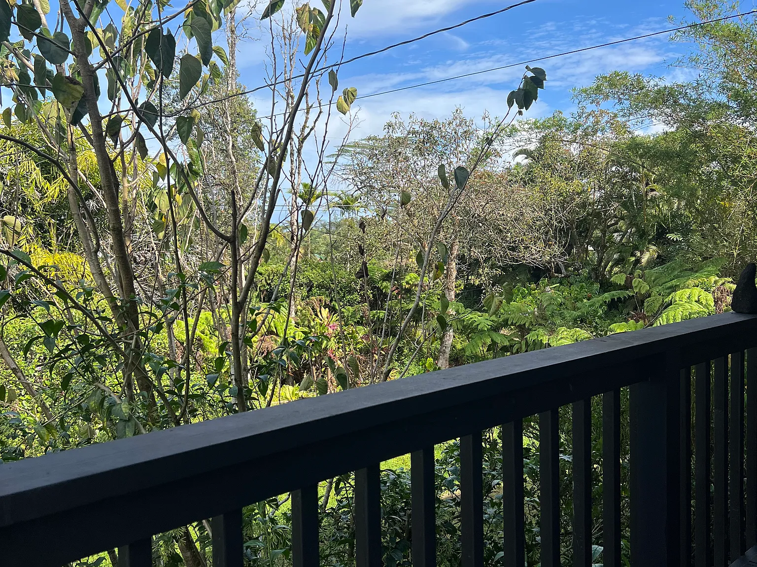 3 bed, 2.5 bath, 1600 sqft, $2,500 — Photo 3