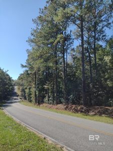 0 Canaan Rd, Stockton, AL, 36579