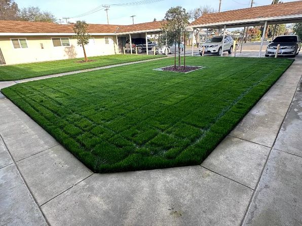 (undisclosed Address)