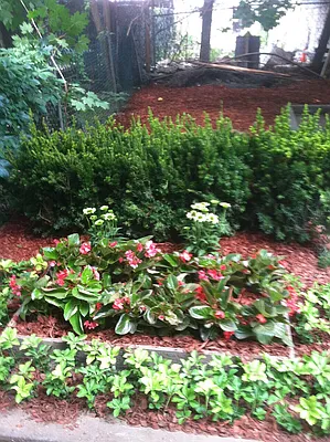 Rented by Urban Pads | media 19