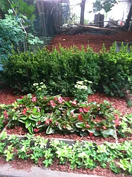 Rented by Urban Pads