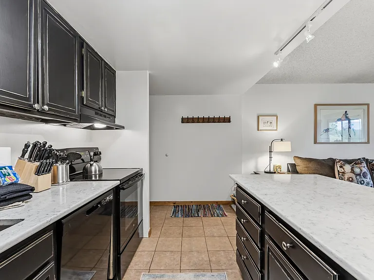 455 Village Rd #106BRECKENRIDGE — Photo 9