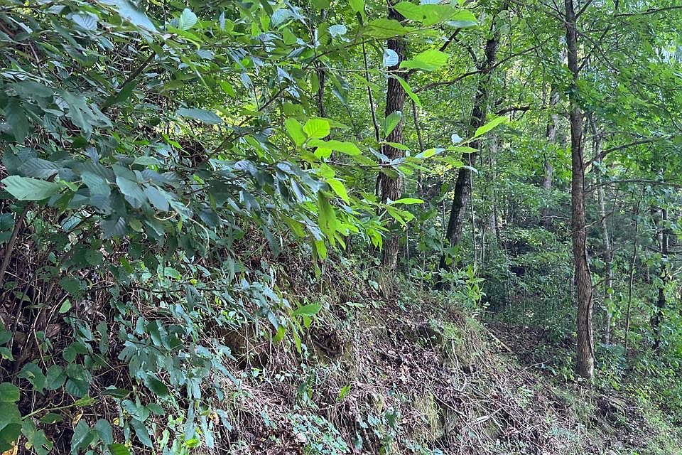 1st image of Lot 77 Fires Creek Cove LOT 77