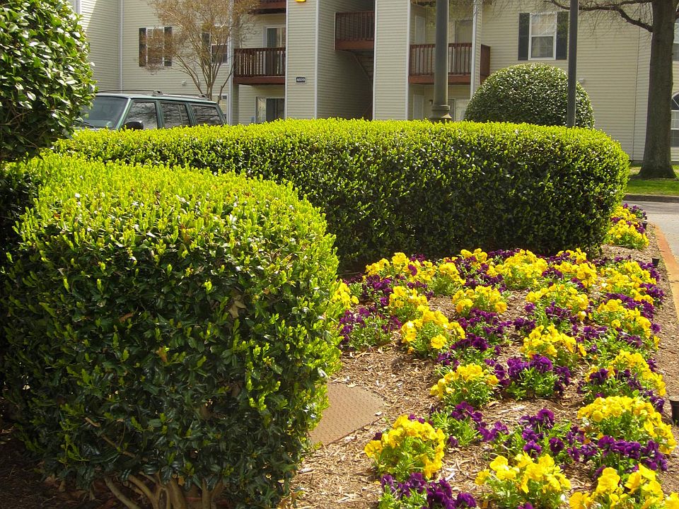 1st image of 4600 Galeforce Ct APT 202