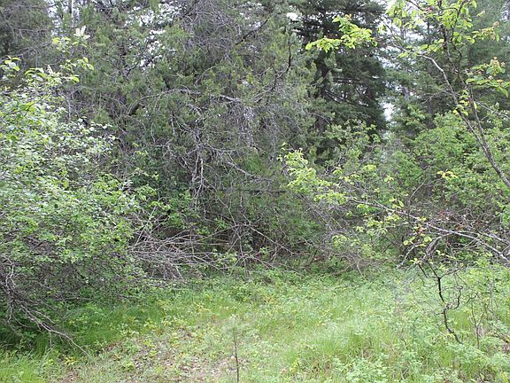 5th image of Nhn Choctaw Ln