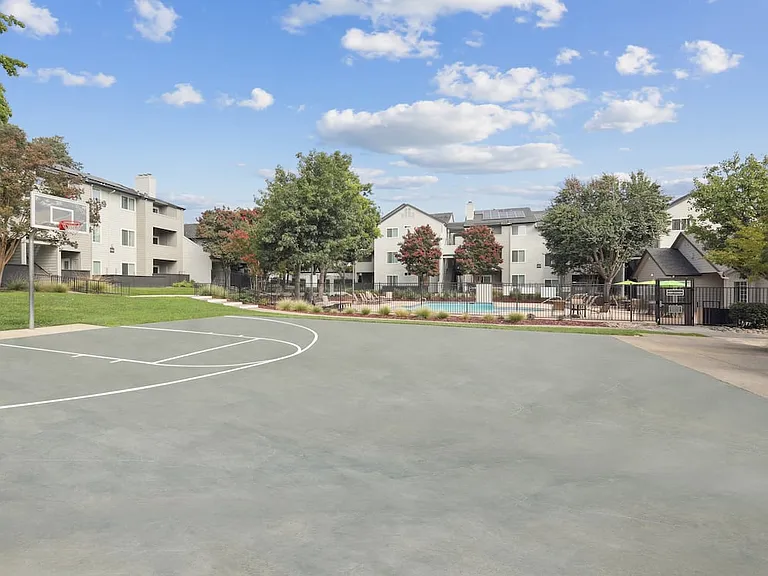 Basketball court