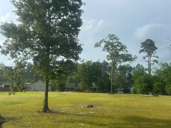 River Pines Dr, Springfield, LA 70462