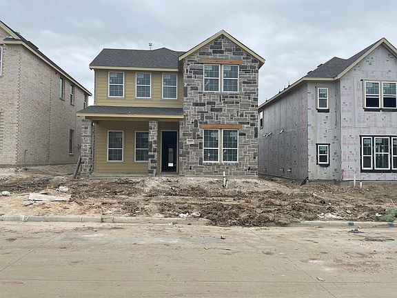 Exterior Design Construction Progress