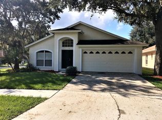 1107 Mallory Point Dr, Valrico, FL 33596
